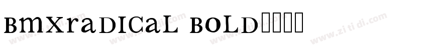 BMXRadical Bold字体转换